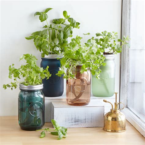 Water should not stand for more than a day or so in the gravel layer, so frequent, small waterings is better than a heavy one every. Mason Jar Indoor Herb Garden | Hydroponic Grow Kit ...