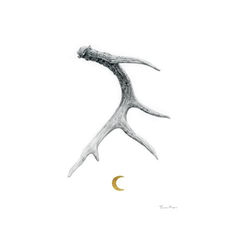 Moon Shed Deer Antler Drawing W Golden Crescent Moon By Artist