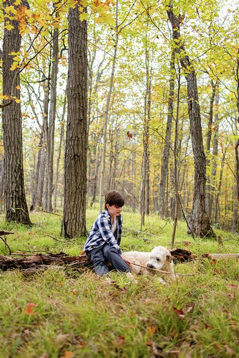 Young Boy Playing In The Woods With His Dog On An Autumn Day