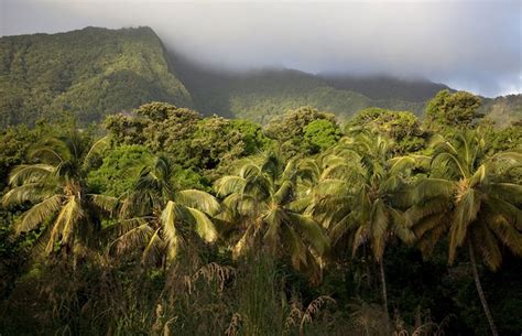 7 interesting facts about dominica
