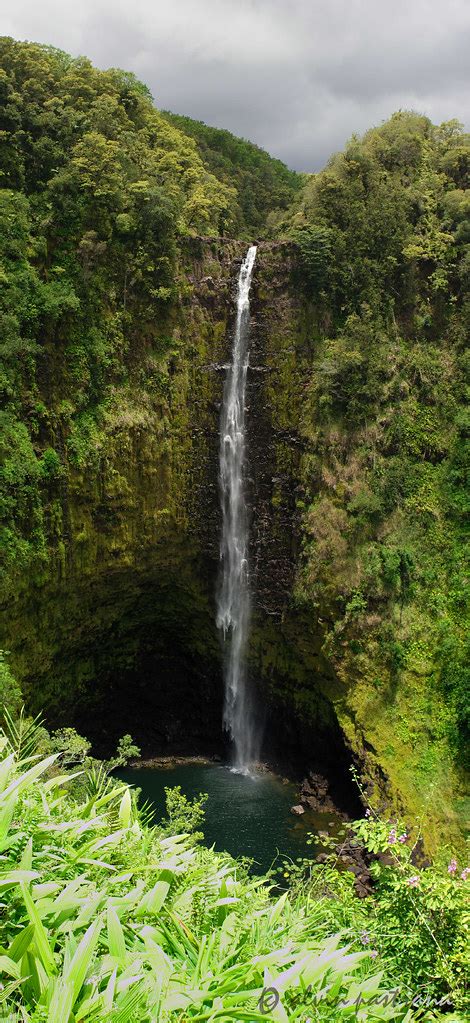 Akaka Falls Akaka Falls Is Located On Kolekole Stream A L Flickr