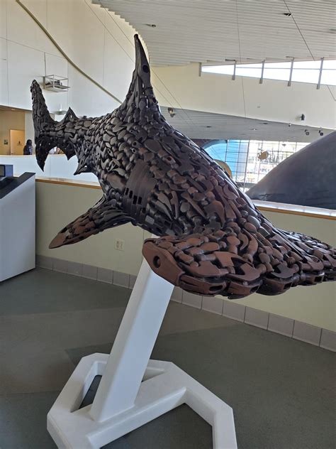 This Hammerhead Shark Made From Hammer Heads Rtools