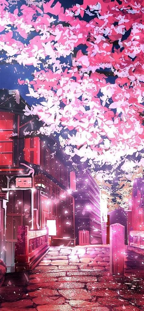 Aesthetic Sakura Trees Wallpapers Download Mobcup