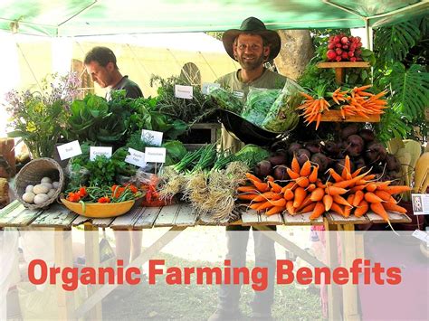 Organic Farming Benefits Yardyum Garden Plot Rentals