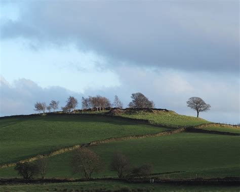 Bole Hill Viewed From Lodge Moor Road © Neil Theasby Geograph