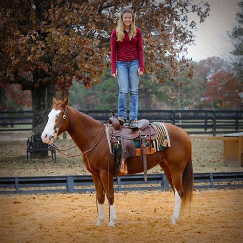 015 Indie Sorrel Aqha Reining Horse For Sale Horse Of My Dreams