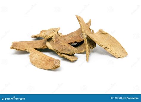 Cinnamon Bark Stock Photo Image Of Fragrant Bark Evergreen 12575164