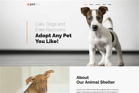 Pet Adoption Website Template For Pet Shelter Motocms