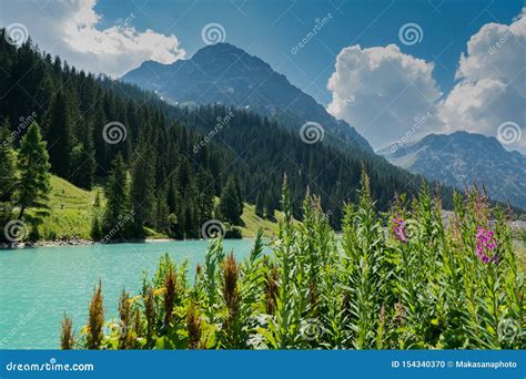 Summer Mountain Landscape With Turquoise Lake And Wildflowers In The