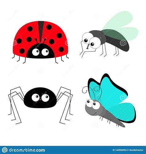 Lady Bug Ladybird Fly Housefly Spider Butterfly Insect