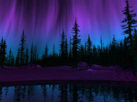 Purple Forest Wallpapers Top Free Purple Forest Backgrounds