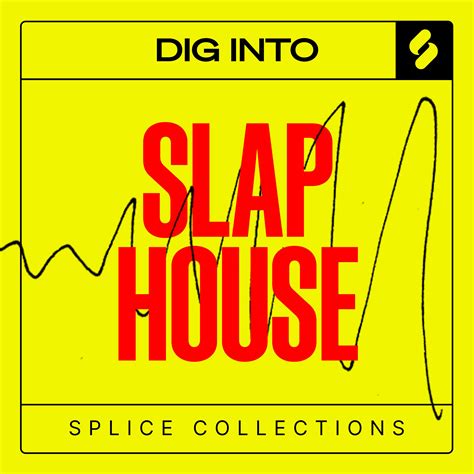 Dig Into Slap House Samples And Loops Splice Sounds
