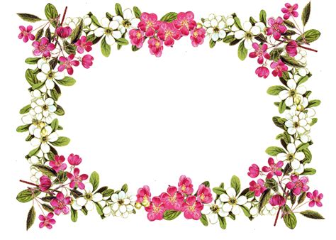 Free Printable Clip Art Borders Free Digital Flower Frame Png