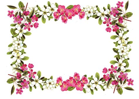 Floral Frame PNG Images Transparent Free Download | PNGMart.com