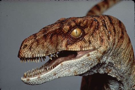 The Lost World Jurassic Park Male Velociraptor Maquette Jurassic Movies Jurassic World