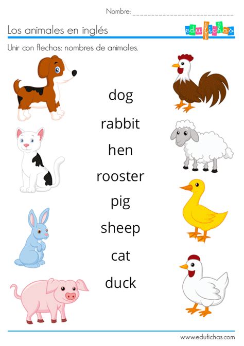 Animales En InglÉs Vocabulario Ejercicios Flashcards Ingles