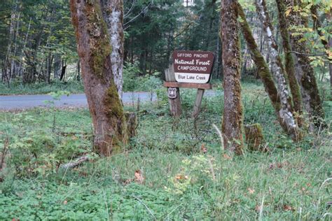 Check spelling or type a new query. Blue Lake Creek Campground - Gifford Pinchot National ...