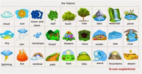 Elementos Da Natureza Em Ingles