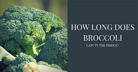 How long does cooked sausage last in the fridge? How Long Does Broccoli Last In The Fridge? | Broccoli ...