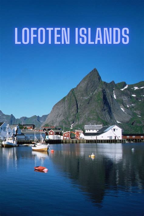 Lofoten Islands The Complete Guide To Norways Northern Paradise