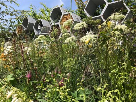 The Urban Pollinator Garden Conway Landscapes