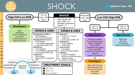 Shock Differential Diagnosis Framework Map