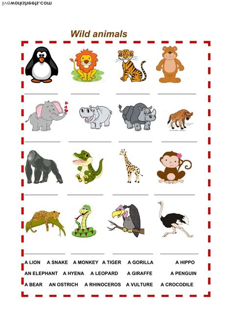 Kindergarten Worksheets On Wild Animals