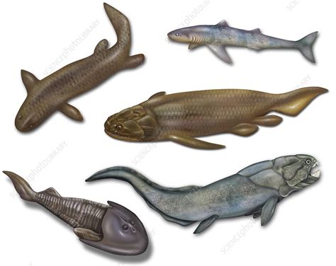 Prehistoric Fishes Illustration Stock Image F0317102 Science