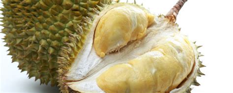 Aroma khas pada buah durian sering kali menjadi kontroversi hal ini disebabkan karena ada yang menyukai aroma tersebut dan ada juga yang tidak menyukai aroma durian bahkan. Waktu Hamil Nak Makan Durian, Silakan. Tapi Janganlah ...