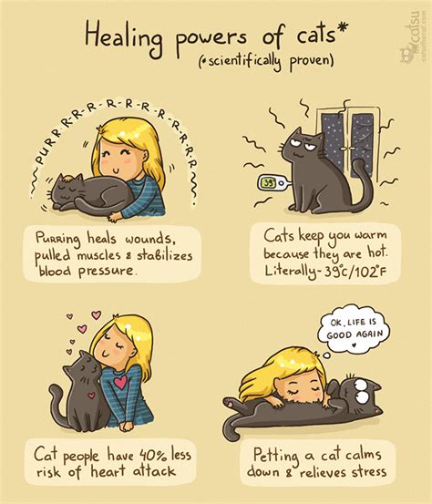 38 Top Photos Healing Power Of Cats Purr Infographic The Healing Power Of Cat Purrs