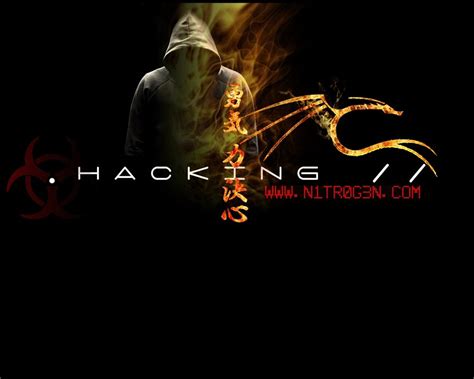 Tons of awesome hacker background to download for free. Fond D'ecran Pc Hacker / Hacker Full HD Fond d'écran and ...