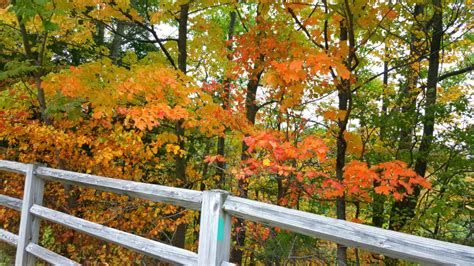 3840x2160 Autumn Path Colors Beautiful Walk Foliage Forest