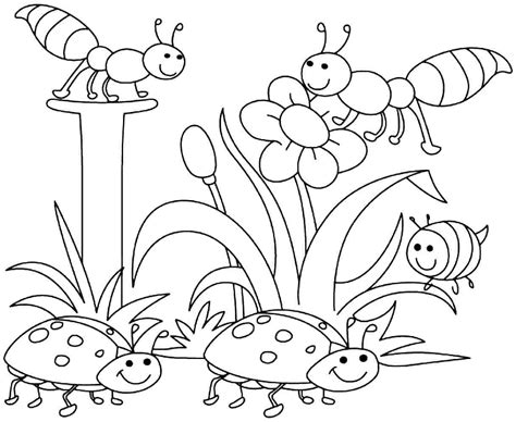 Bugs Coloring Pages Preschool At Free Printable