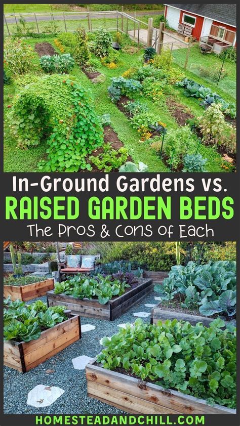 Raised Garden Beds Vs In Ground Beds Pros And Cons ~ Homestead And