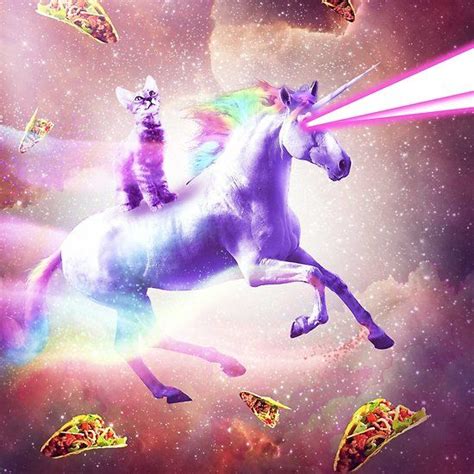 Space Cat Riding Unicorn Laser Tacos And Rainbow Cat Riding Unicorn
