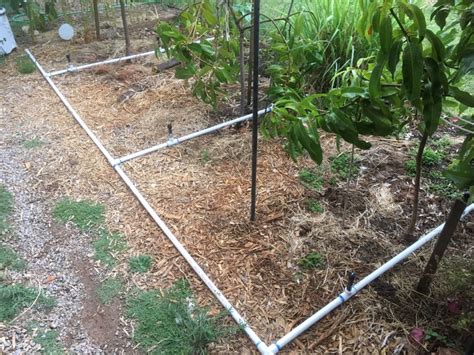 Diy Drip Irrigation For Trees How To Install A Diy Drip Irrigation