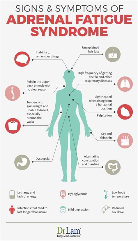 Do You Know The Symptoms For Adrenal Fatigue Heres An Article On The Fundamentals