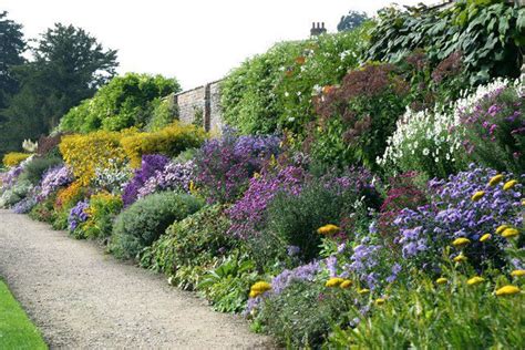 Planning A Perennial Border Takes Knowledge Of Height Width Water