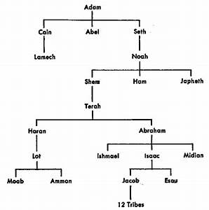 Adam And Family Tree