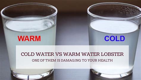 What Is The Best Drinking Cold Water Vs Warm Water Lobster