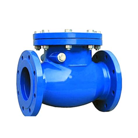 Ss Non Return Valve In Valsad एसएस नॉन रिटर्न वाल्व वलसाड Gujarat