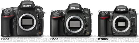 Nikon D600 Vs D800 Vs D7000 Comparison With Pictures Nikon D600