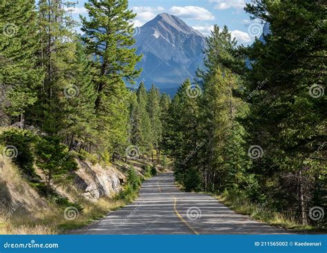 Scenic Country Road In The Forest Tunnel Mountain Drive Route Stock