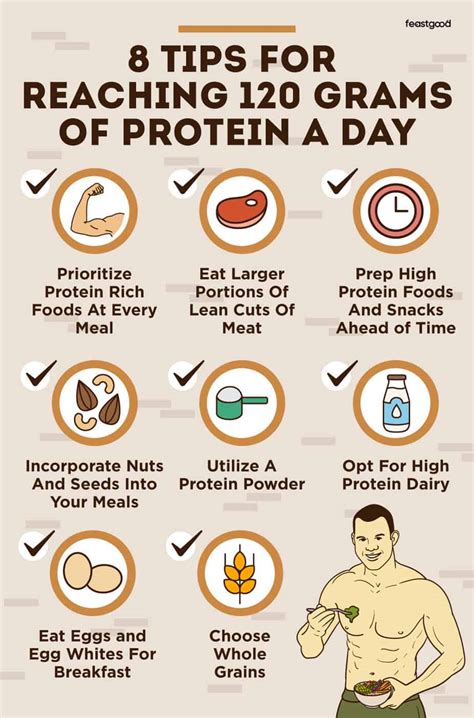 How To Eat 120 Grams Of Protein A Day 8 Tips Meal Plan FeastGood Com