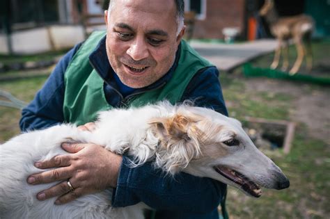 Un Appel Au Secours Un Vétérinaire A Créé Un Refuge Pour Sauver Des