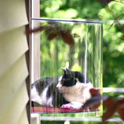 K&h pet products ez mount penthouse hammock, box, or pod? Cat Window Boxes: the Man Caves & She Sheds of Cats ...