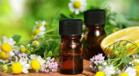 And if you are new to all the oils are steam pressed for maximum effect, and each oil has its individual aromatherapy properties. Natural healing essential oils for your home -- Health ...