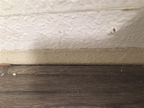 While you can fill holes, nicks, gaps, and scratches with wood filler or wood putty, the two products, although similar, have significant differences. drywall - Do I need to fill in the gap between my wall and ...
