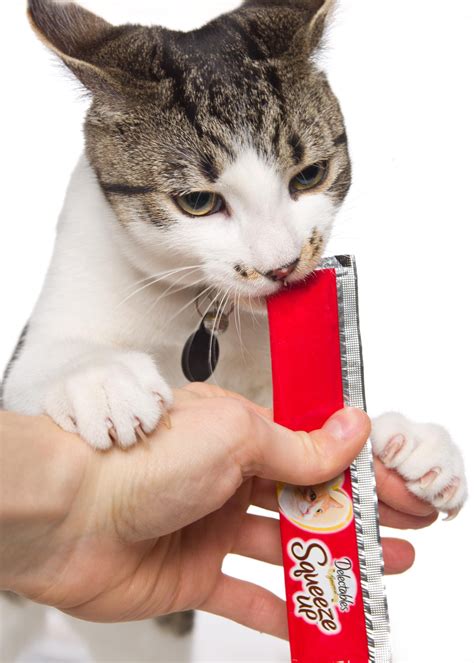 Squeeze Up Cat Treats Cat Meme Stock Pictures And Photos
