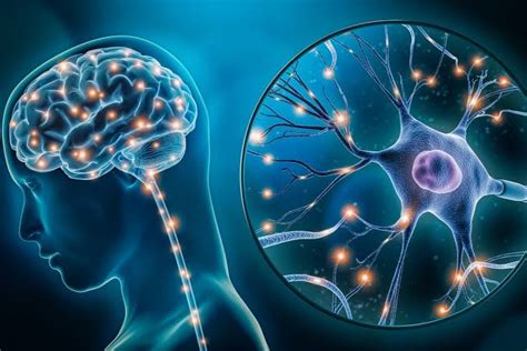 Brain Hypoxia Symptoms Causes And Treatment Santripty